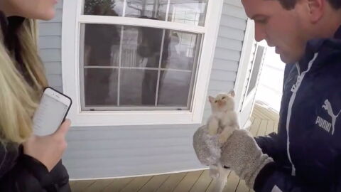This lifeless kitten was lying frozen in the snow but what happens next is a true miracle