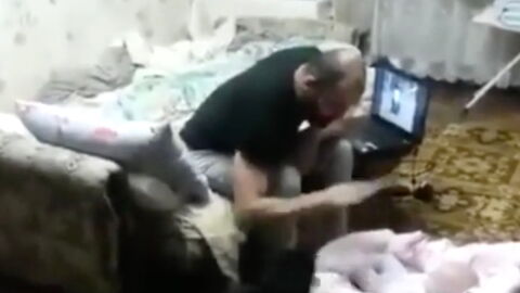 When she saw him attempting to hit a baby, This cat had an incredible reaction