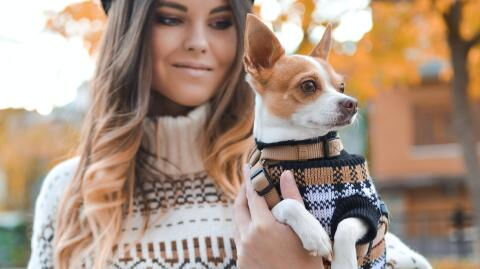 This dog did something unusual to catch its owner's attention