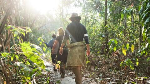 I’m A Celeb’s return to Australian jungle has a crazy new twist