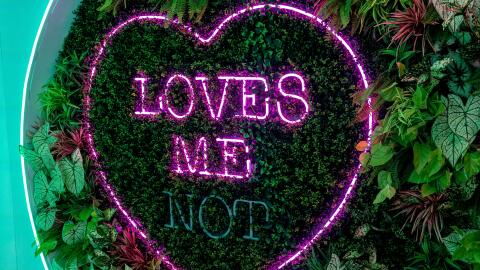 Winter Love Island's Will Young reveals Maura Higgins and this career would be an 'absolute dream'