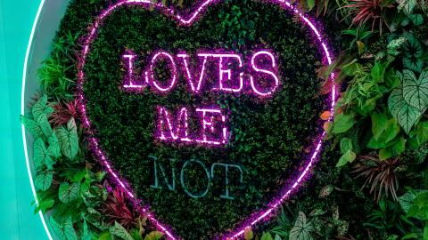 Winter Love Island: Fans in for a surprise as two islanders get dumped instead of one after public vote