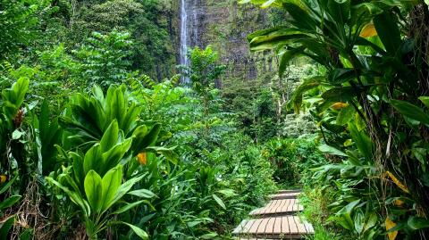 I’m A Celeb All-Stars has a new update that has made fans unhappy: ‘Already disappointed’