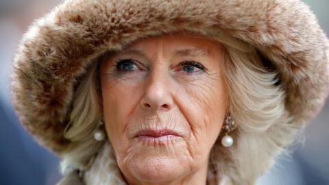 Camilla Parker Bowles: Concerns over her health as she misses Cheltenham trip