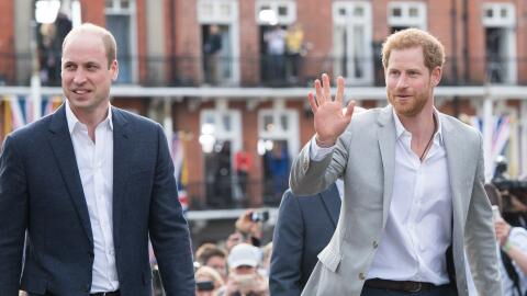 Prince William and Prince Harry: Royal expert reveals reason why the brothers may not meet