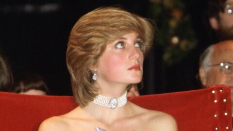 Lady Diana: Rare painting of her mother uncovered and the resemblance is striking