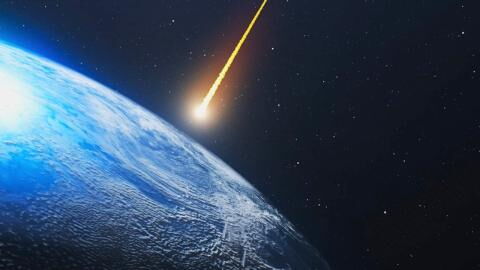 Water bears: Scientists reveal the only animal that could survive the apocalypse