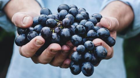 Customer shocked after finding something deadly crawling on her grapes