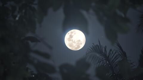 The full moon this week can affect how well you sleep, here's how