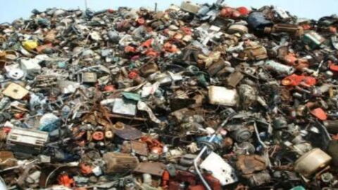 Can you see the cat in this photo? Few people have managed to find it