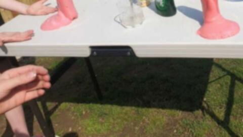 These Kids Made a "Sex Toy" for Their Science Project