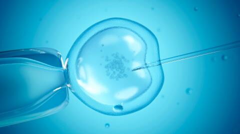 After years of friendship, they made an incredible discovery