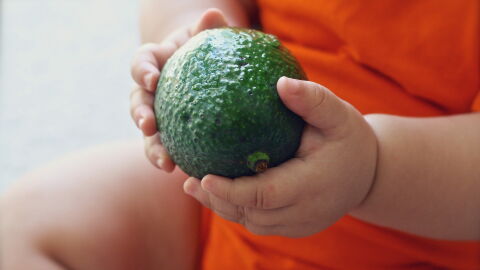 Parent's sentenced to prison for raising their baby on a vegan diet