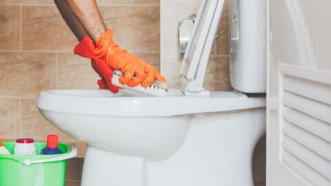 Here's how to easily clean your toilet