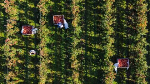 The UK could experience a 'food supply crisis', here's what we know