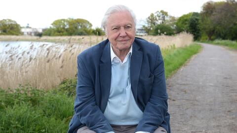 Sir David Attenborough’s health is making filming more difficult, here's everything we know