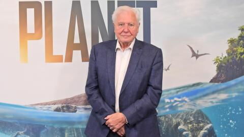 Sir David Attenborough: This is how much money he reportedly earns per minute