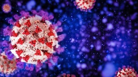 Long Covid can turn this part of your body blue