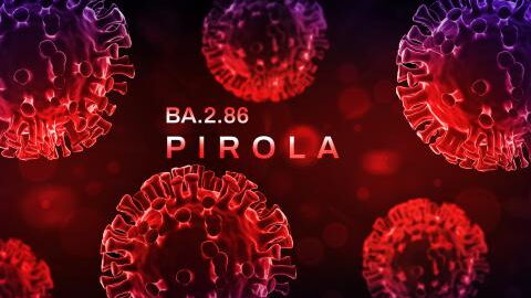 Covid-19: Health expert reveals they are looking out for 'severity' signs in latest Pirola variant