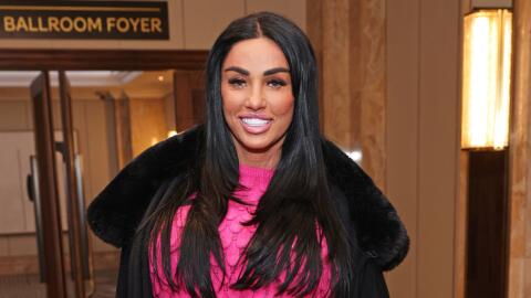 Katie Price shares snapshot of her 'new babies’ but are they real?