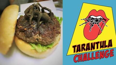 This Restaurant Serves A Tarantula Burger... And Its Taste Is Not What You'd Expect