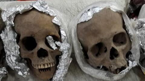 Four human skulls found in US-bound package discovered at Mexican airport