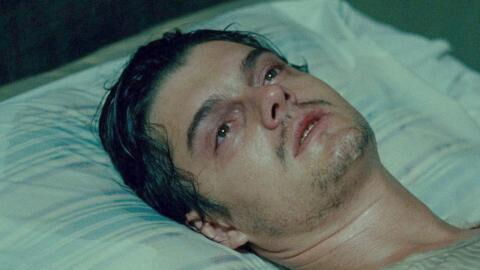 This man died after eating a slug that gave him meningitis