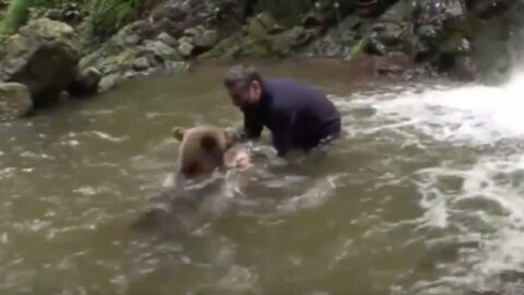 This Mans Saved a Bear Cub's Life and Years Later They Met Again