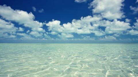 If ever you find this while walking on the beach, your life could change in an instant