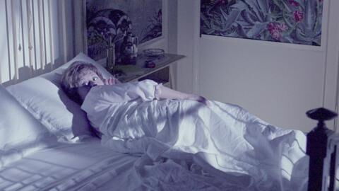 This woman was shocked to find huge reptile taking a nap inside her bed