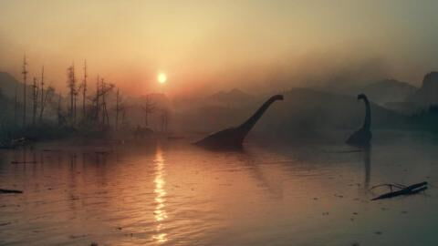 This species will survive us just like it survived the dinosaurs: Here's how