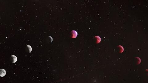 Free horoscope: Here are the predictions for all zodiac signs on September 4, 2023