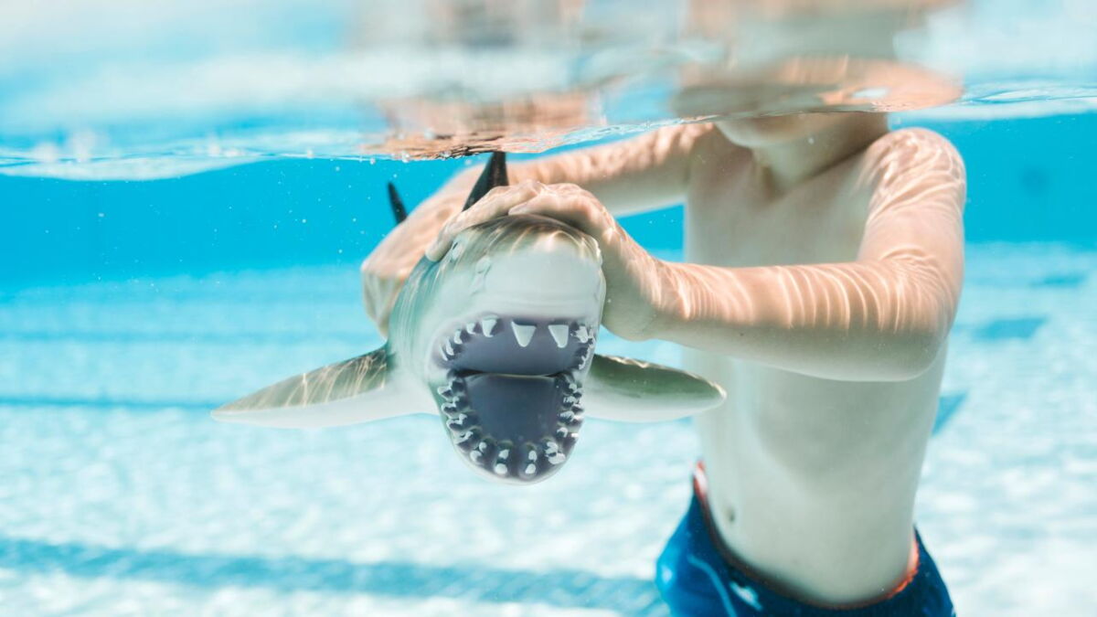 Shark bites the face of 13-year-old boy who barely managed to survive