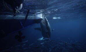 Earth & Space - Uncover all the most fascinating secrets of our planet