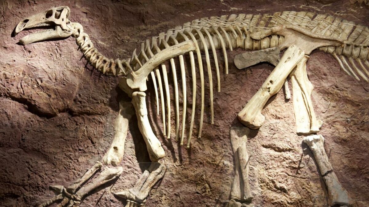 Remarkable discovery of a 235 million-year-old dinosaur unearthed in Africa