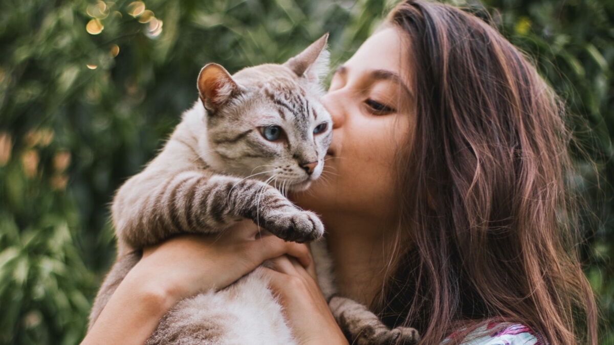 Do cats actually like to be kissed? Here's what they're really thinking