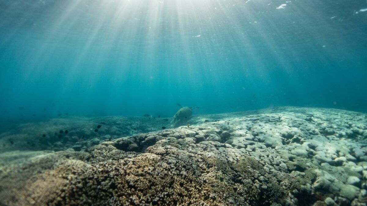 Mysterious Holes Discovered 2500 Metres Deep In The Atlantic Ocean Scientists Left Puzzled 6547