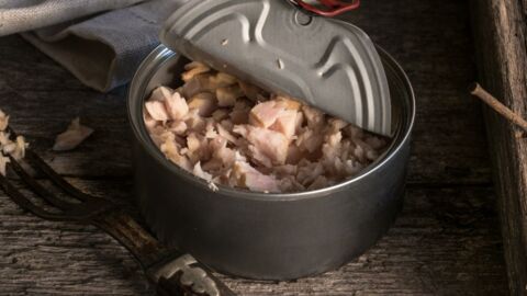 20 easy recipes to make using canned tuna
