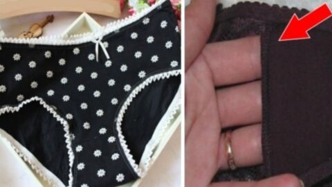 This is what the little pocket in women's underwear is really for