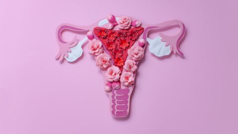 Everything you need to know about the menstrual cycle
