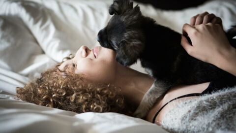 Study shows women sleep better next to dogs than their partners