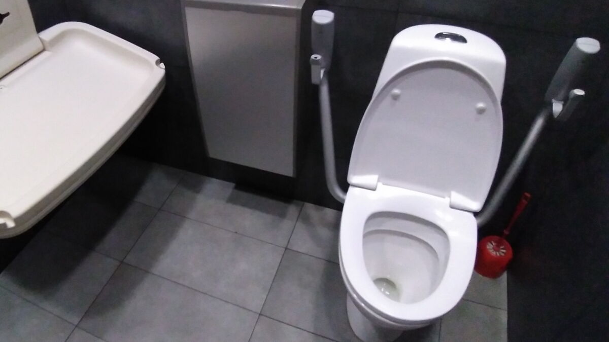 Hygiene Here’s why you should never put toilet paper on a public toilet