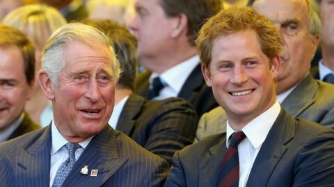 Prince Harry could 'damage' Prince Charles' future as King, source says