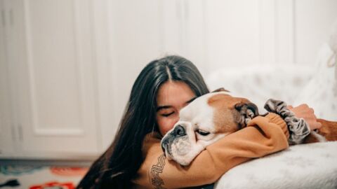 Which breed of dog should you adopt based on your star sign?