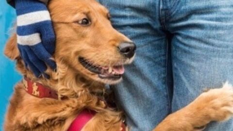 This dog can't stop giving hugs