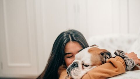 Getting a new pet? These are the most affectionate dog breeds 