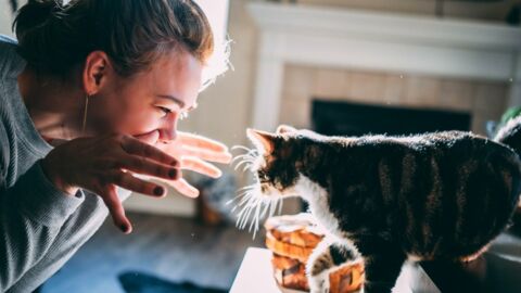 Do cats develop the same character traits as their owners?