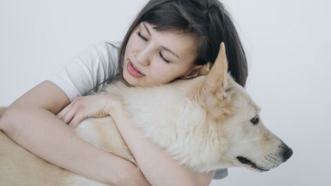 Abusive behaviour on pets now recognised as domestic abuse