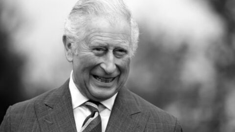 Prince Charles to give public more access to royal places when he is king