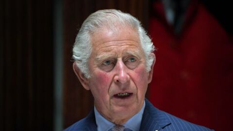  Prince Charles ‘pleased’ with The Sussexes decision to stay off Royal payroll, says royal insider